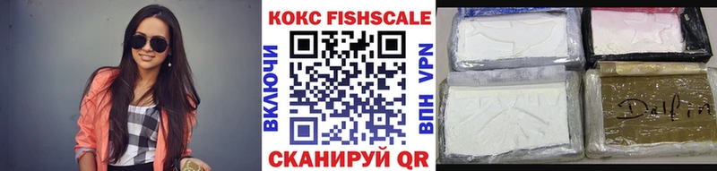 купить закладку  Фрязино  Cocaine Fish Scale 