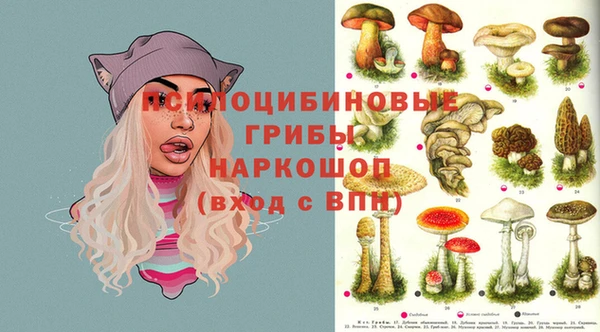 стаф Нягань